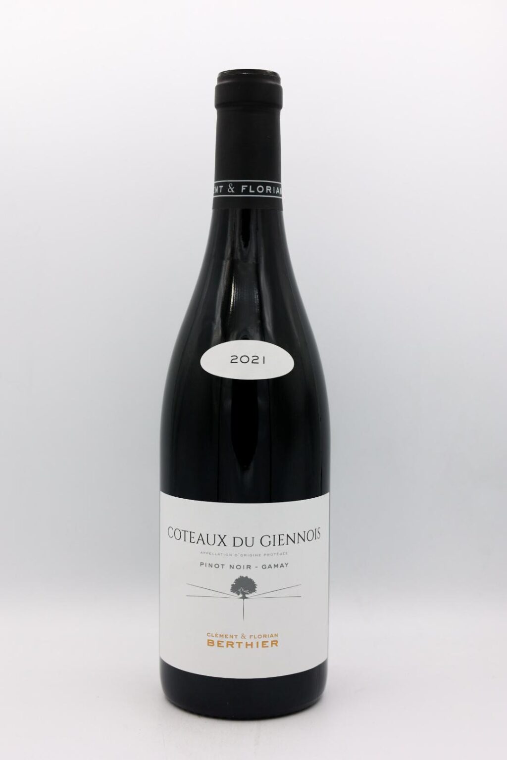 Clement et Florian Berthier Coteaux du Giennois Rouge 2022