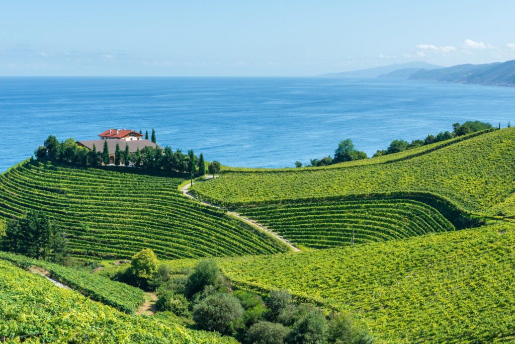 Wine 101: Intro to Spain Tuesday 5/13 7-8:30 PM