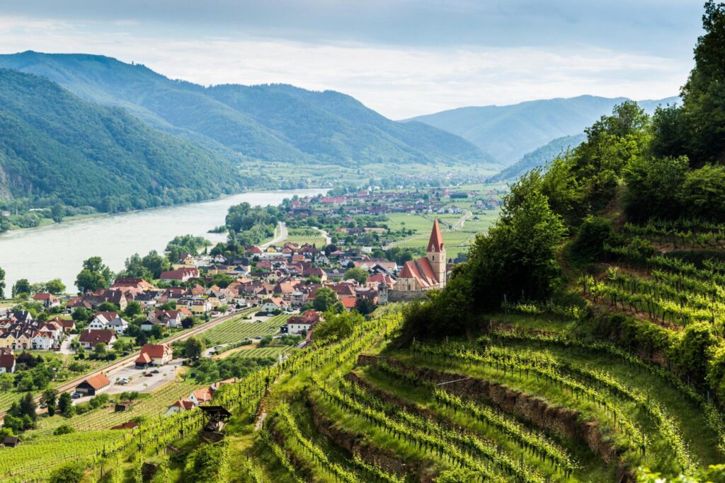 Wine 201: Austria with Ben Bohen Thursday June 5 7-8:30 PM