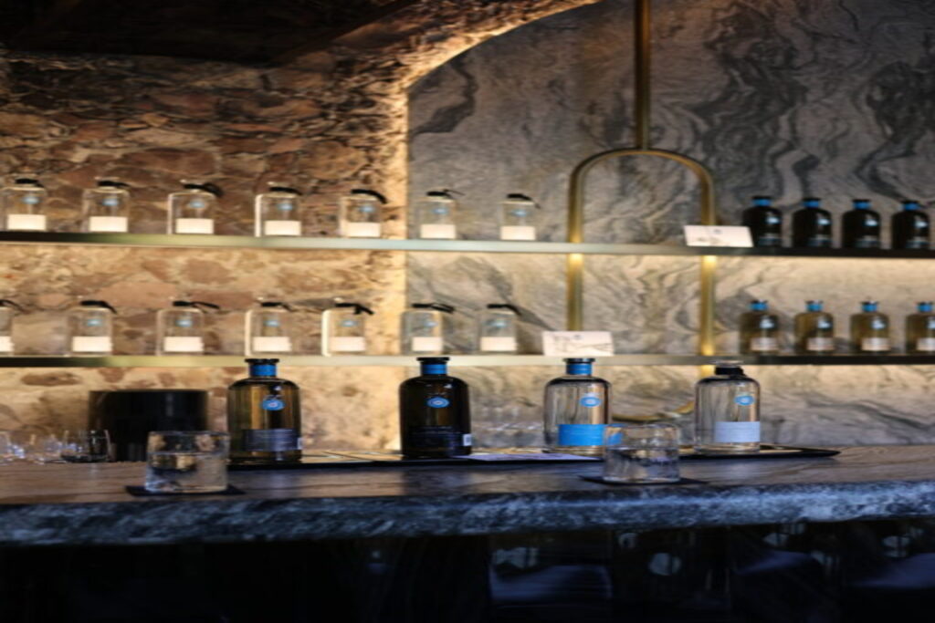 A Taste of San Miguel de Allende - Tasting Casa Dragones with Founder & CEO Bertha González Nieves