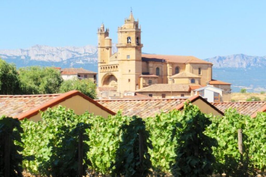 Staff Picks: Emporda Edicion